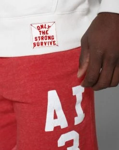 Allen Iverson SPORT AND ICON Iverson #3 Ivory Hoody